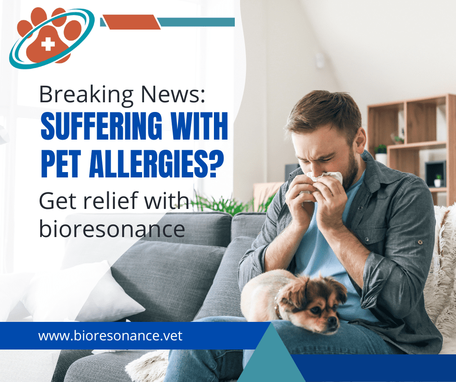 Pet allergy relief